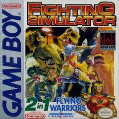 Sizzlin Games - 2 In 1: Flying Warriors / Fighting Simulator - Video Game - GameBoy